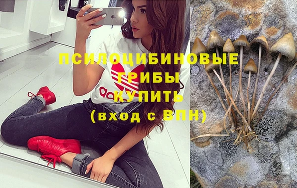 первитин Балахна